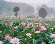 广昌后天天气